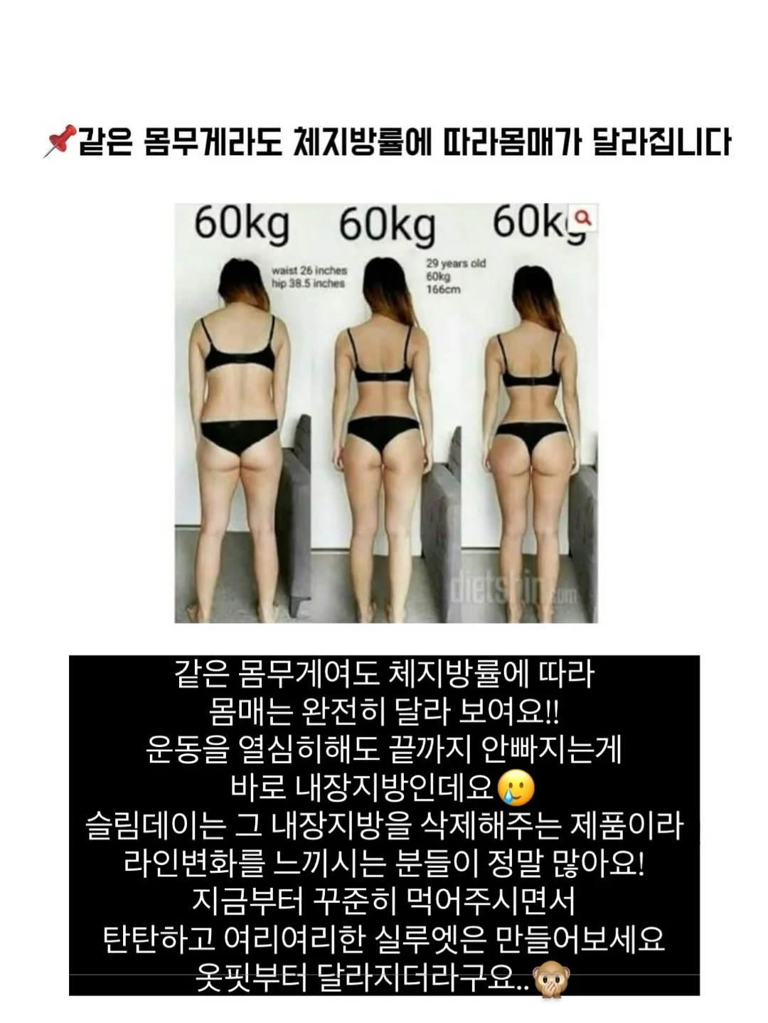 디그니티 장미 2