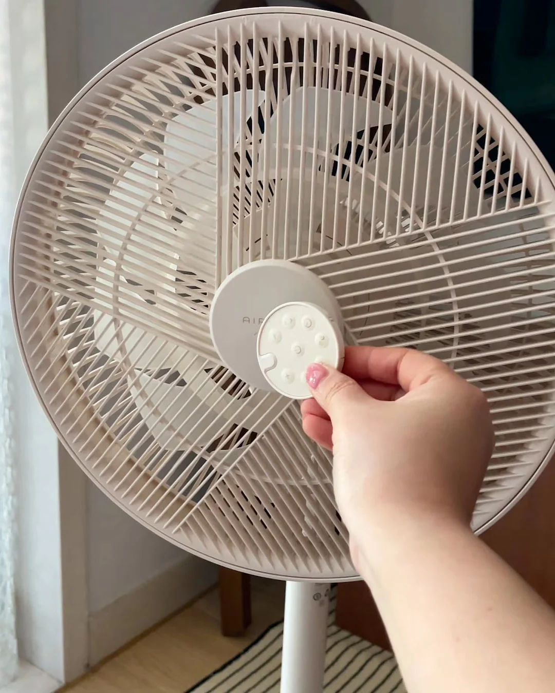 알레딴떼 자체제작 수영복 5