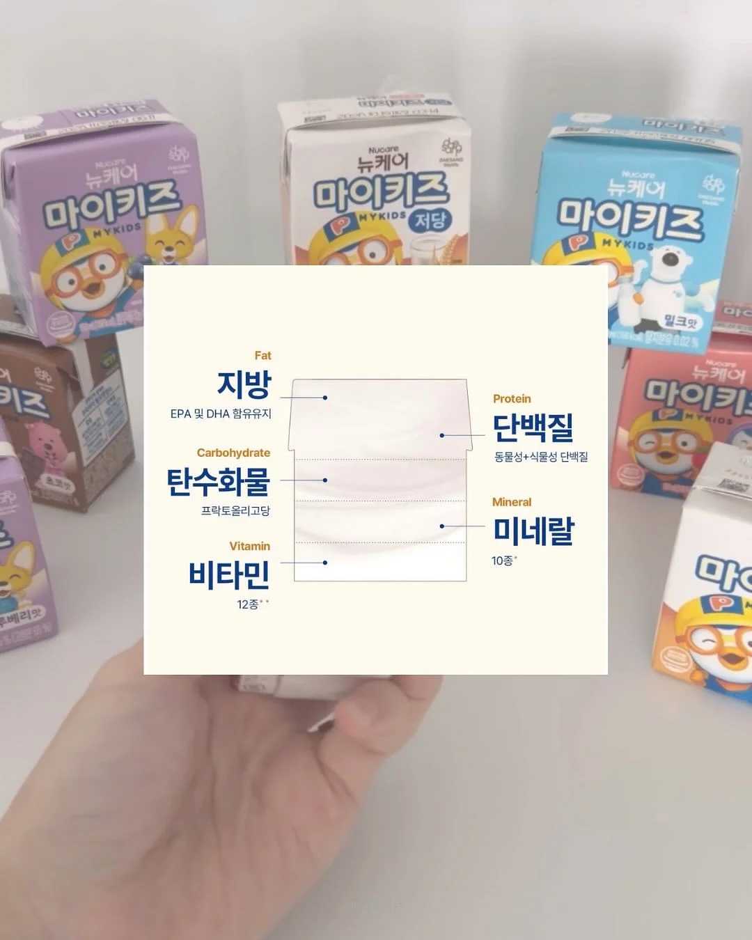 언커먼 아이웨어 x 스테디 에브리웨어 협업 워크 셔츠 3