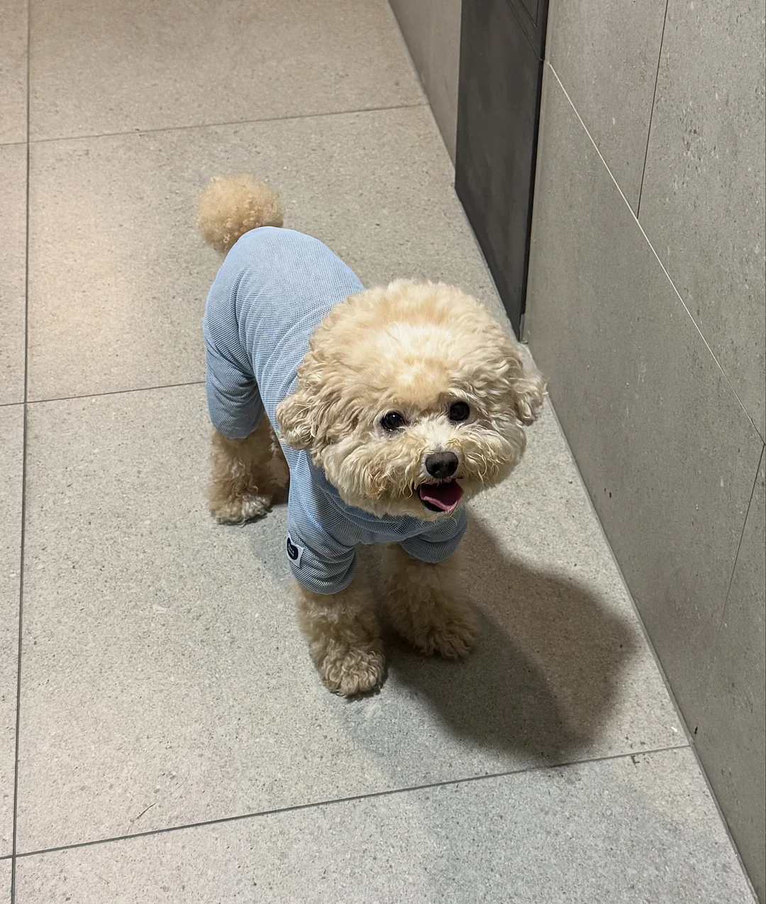 음식물 쓰레기통 3