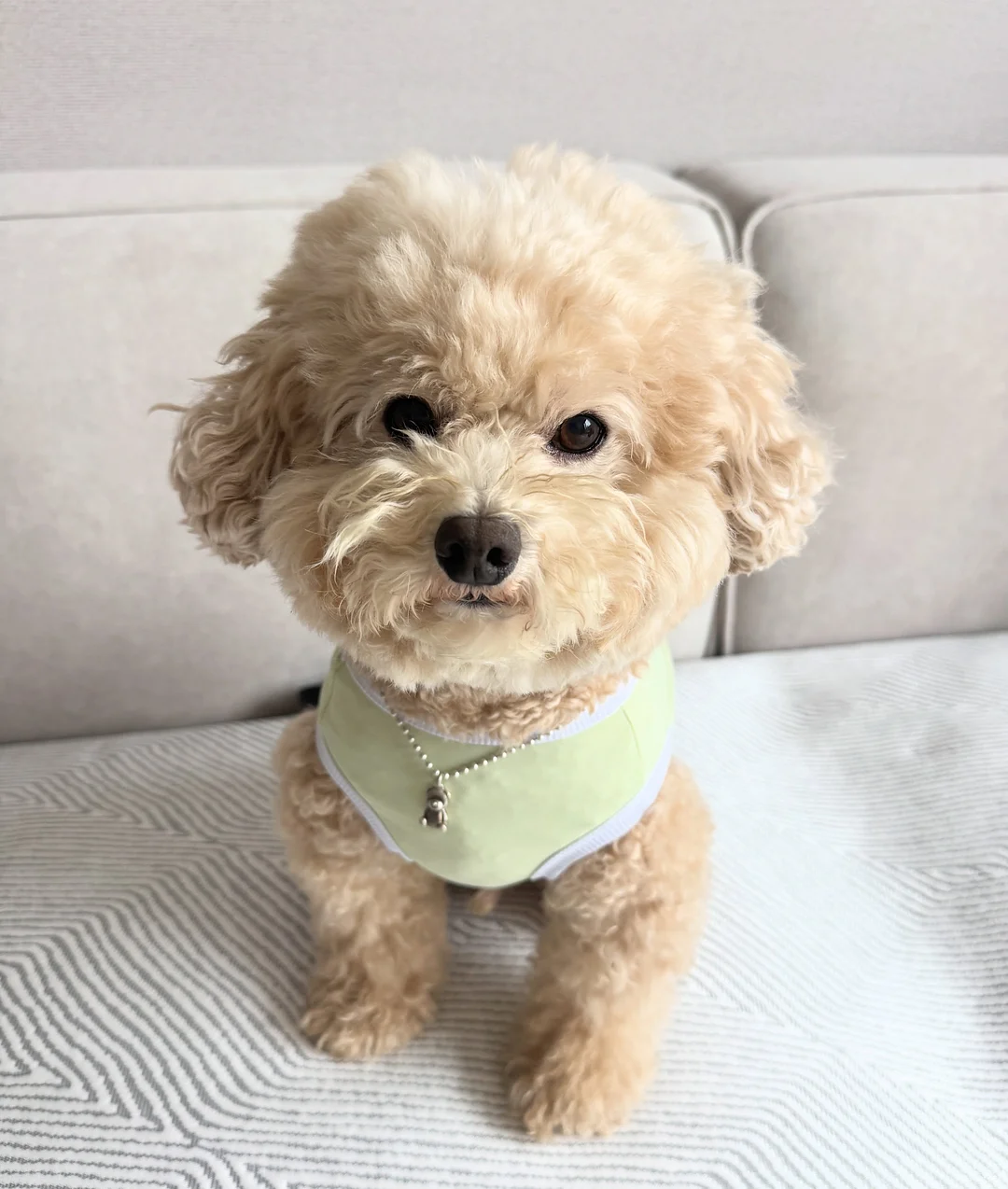 음식물 쓰레기통 5