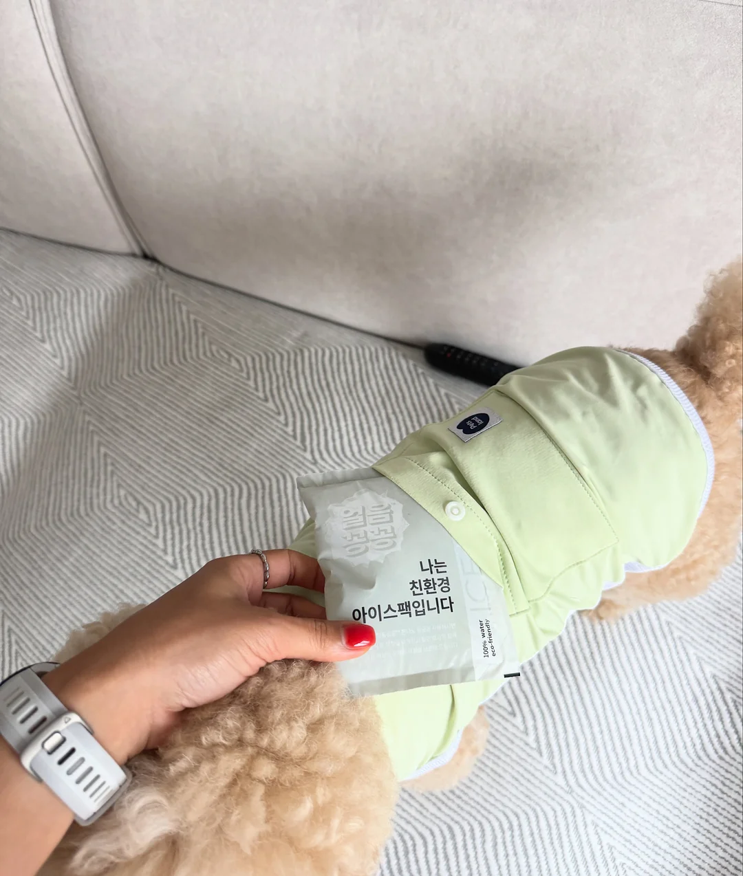음식물 쓰레기통 6