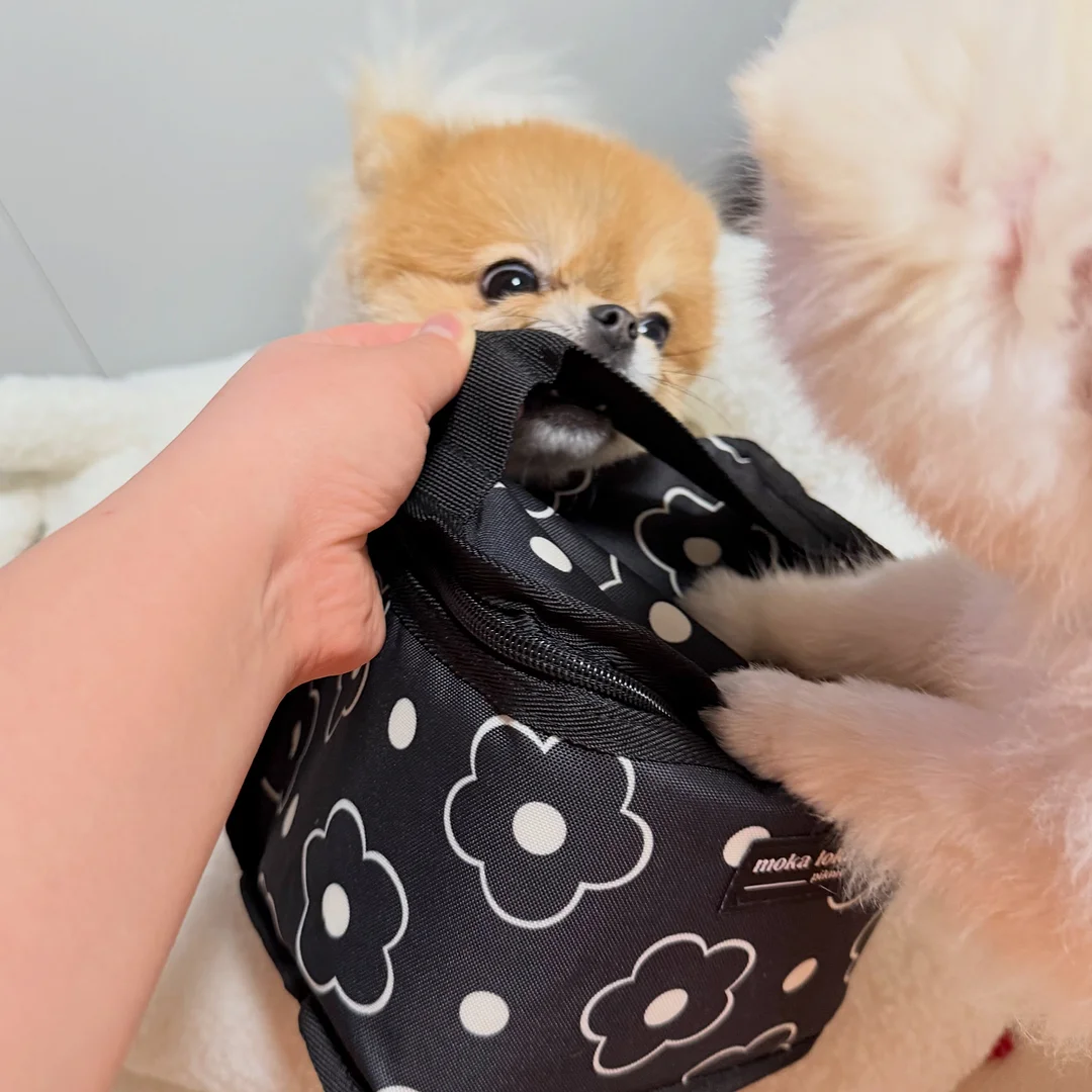 햇풀먹인 목초 요거트 5