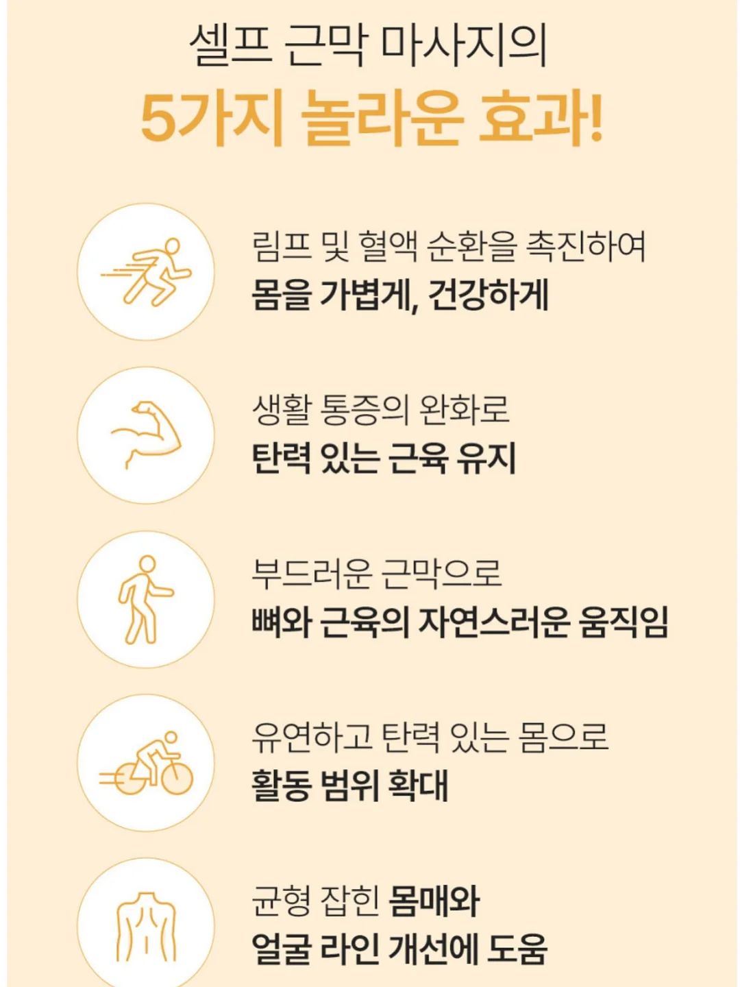 러플 볼드 체어 20