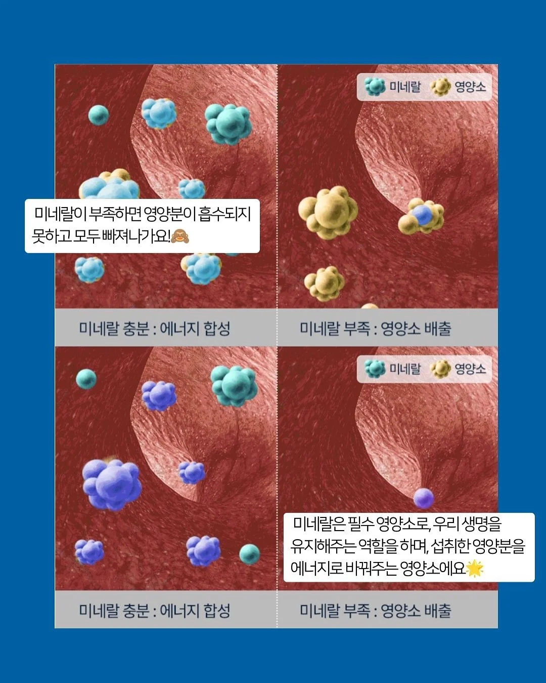 닥터서동원베개 어린이 경추베개 12