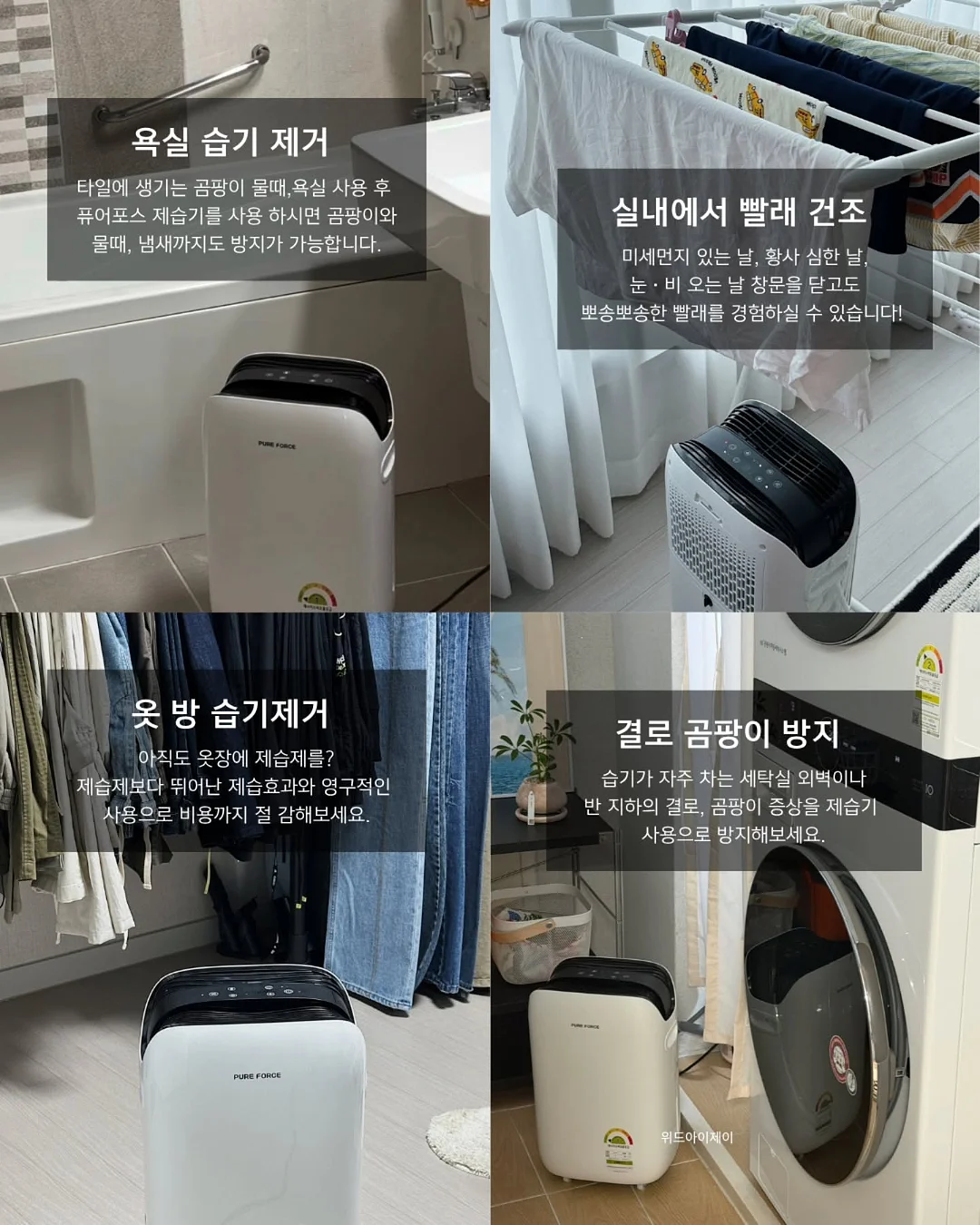 루스파우더 6