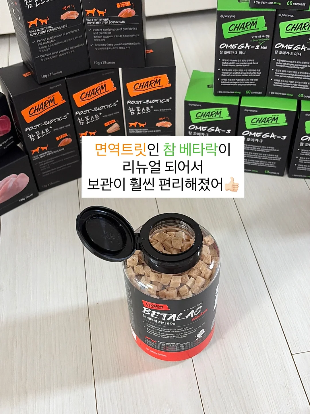 키티 타올 2