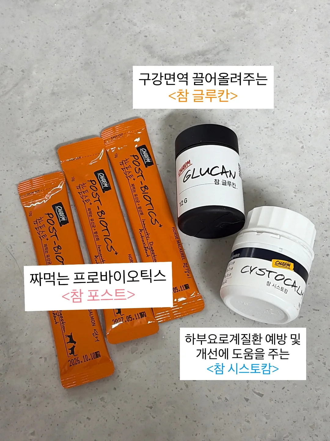 키티 타올 3