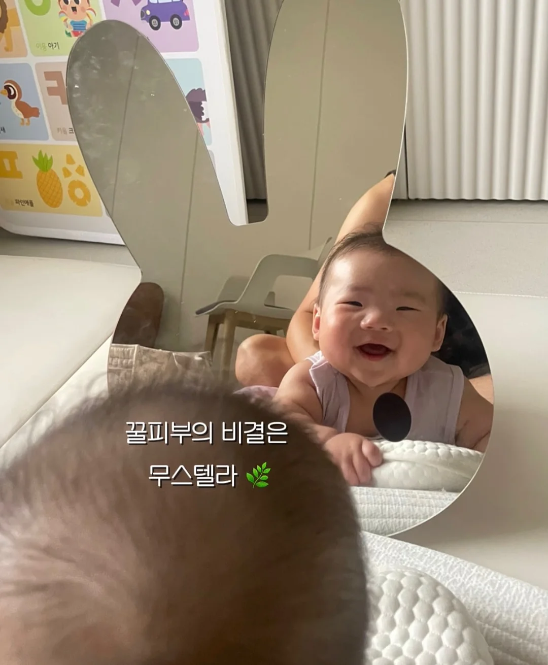 바이탈블랜트 롤팬 오리지널 8