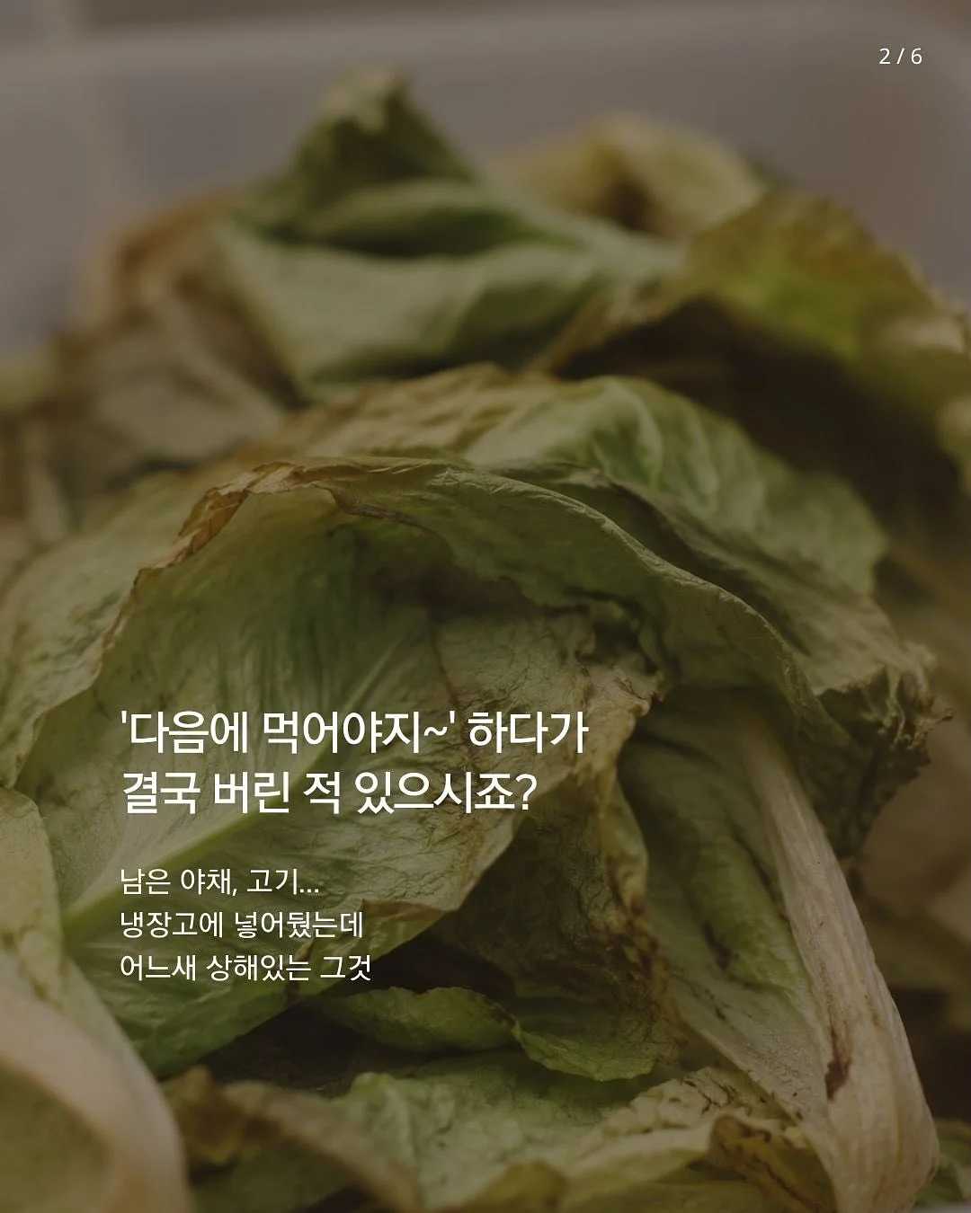 에바폼 백합 2