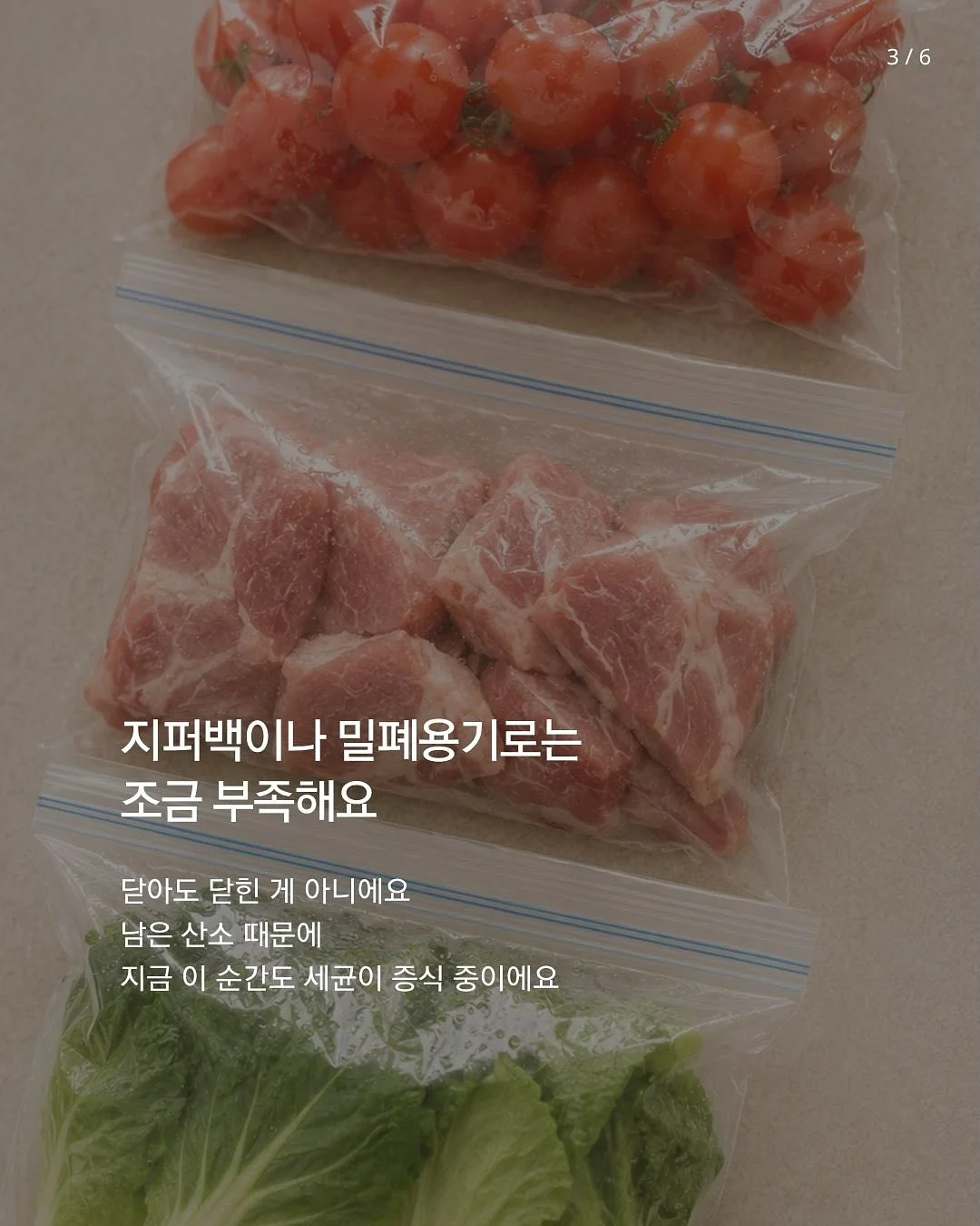 에바폼 백합 3