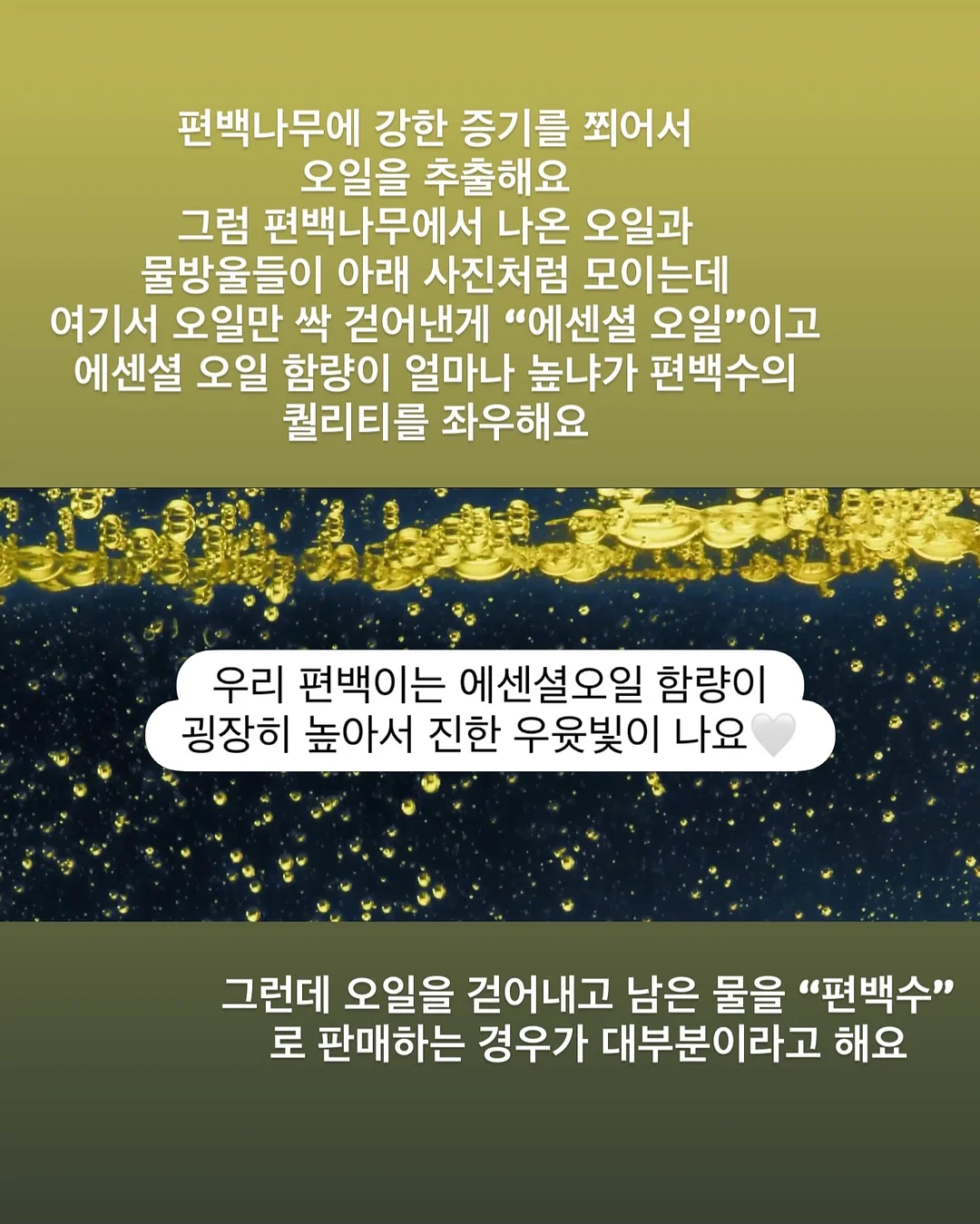 지문 인식 USB 5