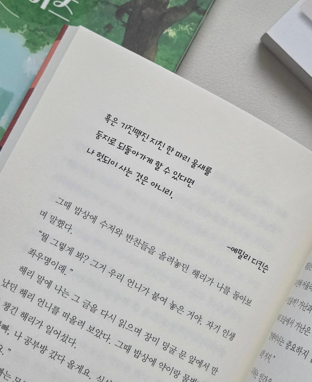 Trinidad 트리니다드 의자 10