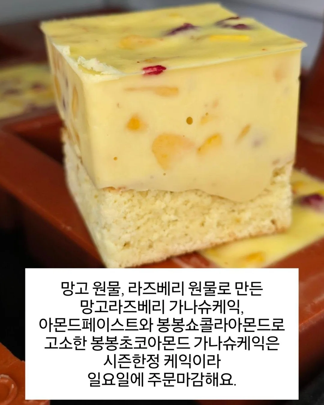 사생활보호 필름 11