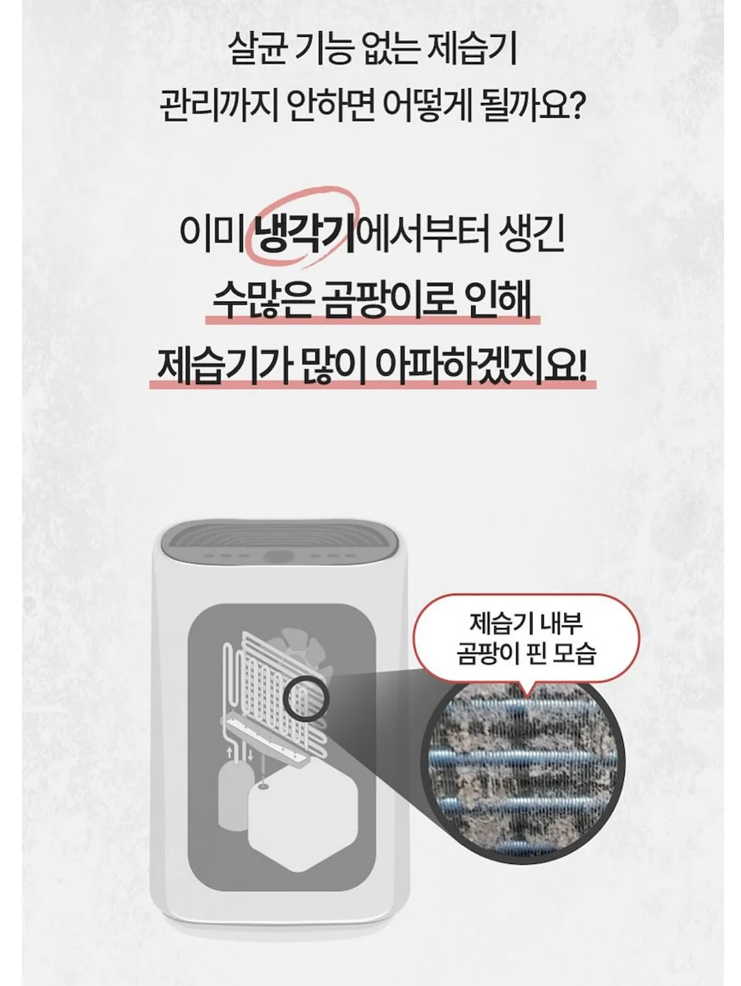 무이스튜디오 팝업 제품 14