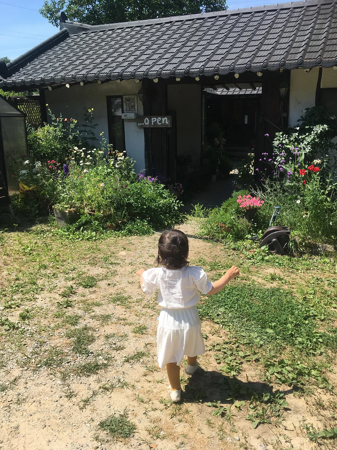 바니스뉴욕 카프리 팬츠 6