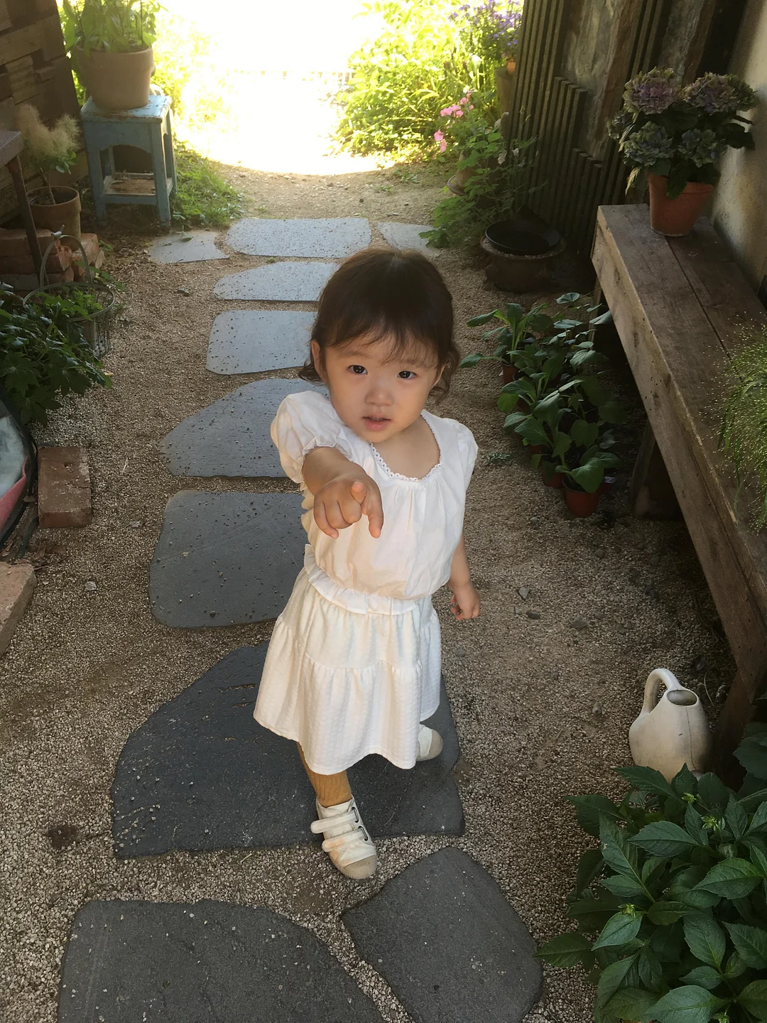 바니스뉴욕 카프리 팬츠 8