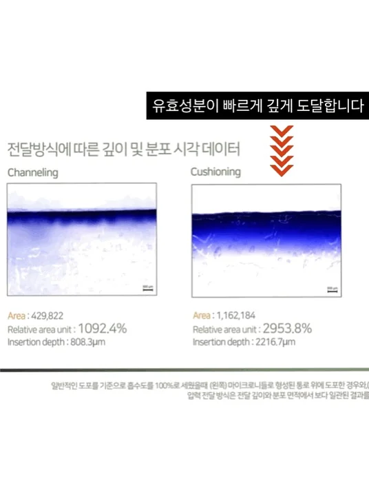 뭉치 과학 토론왕 13