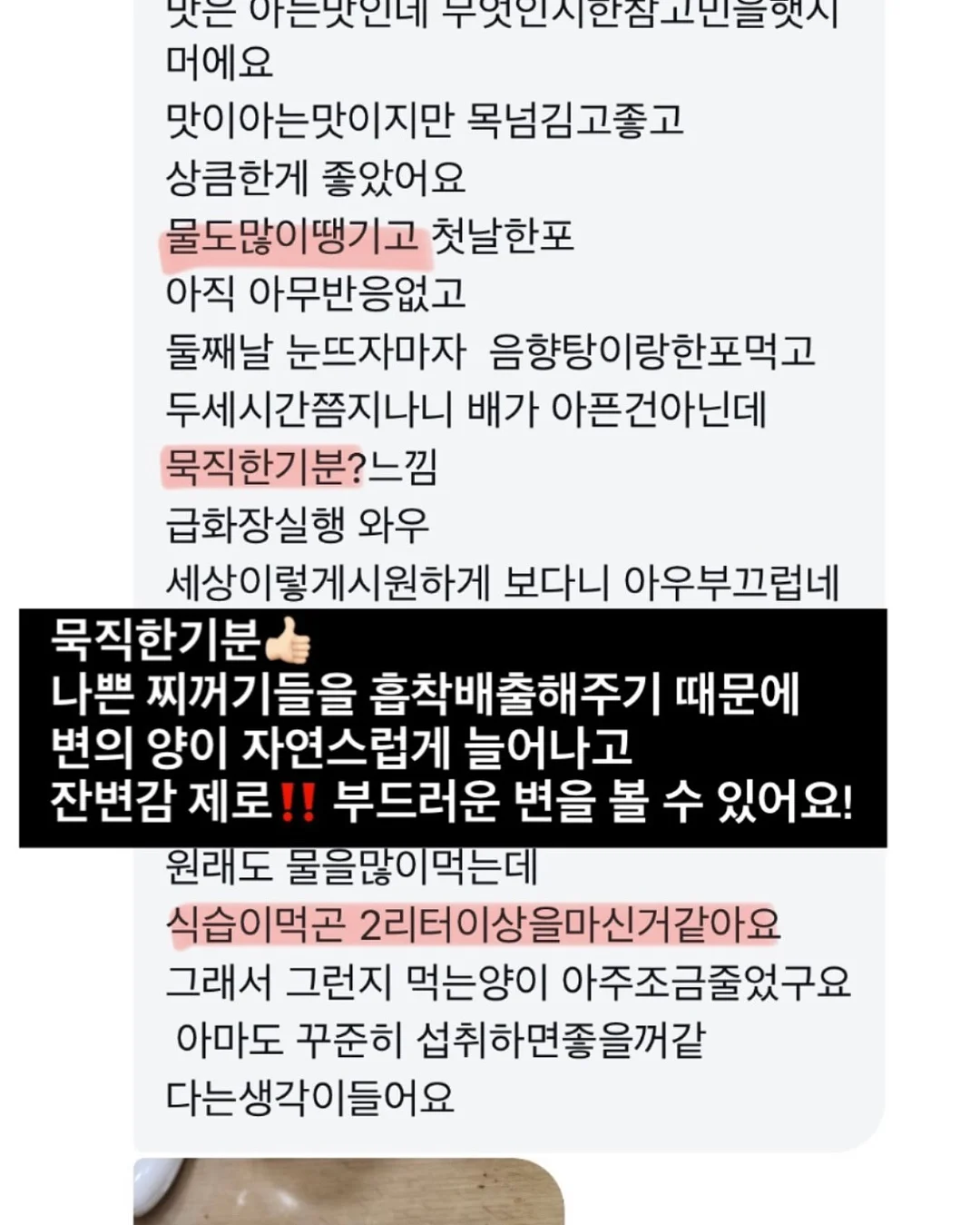 타치가와 타모 프리미엄 딥펜 15