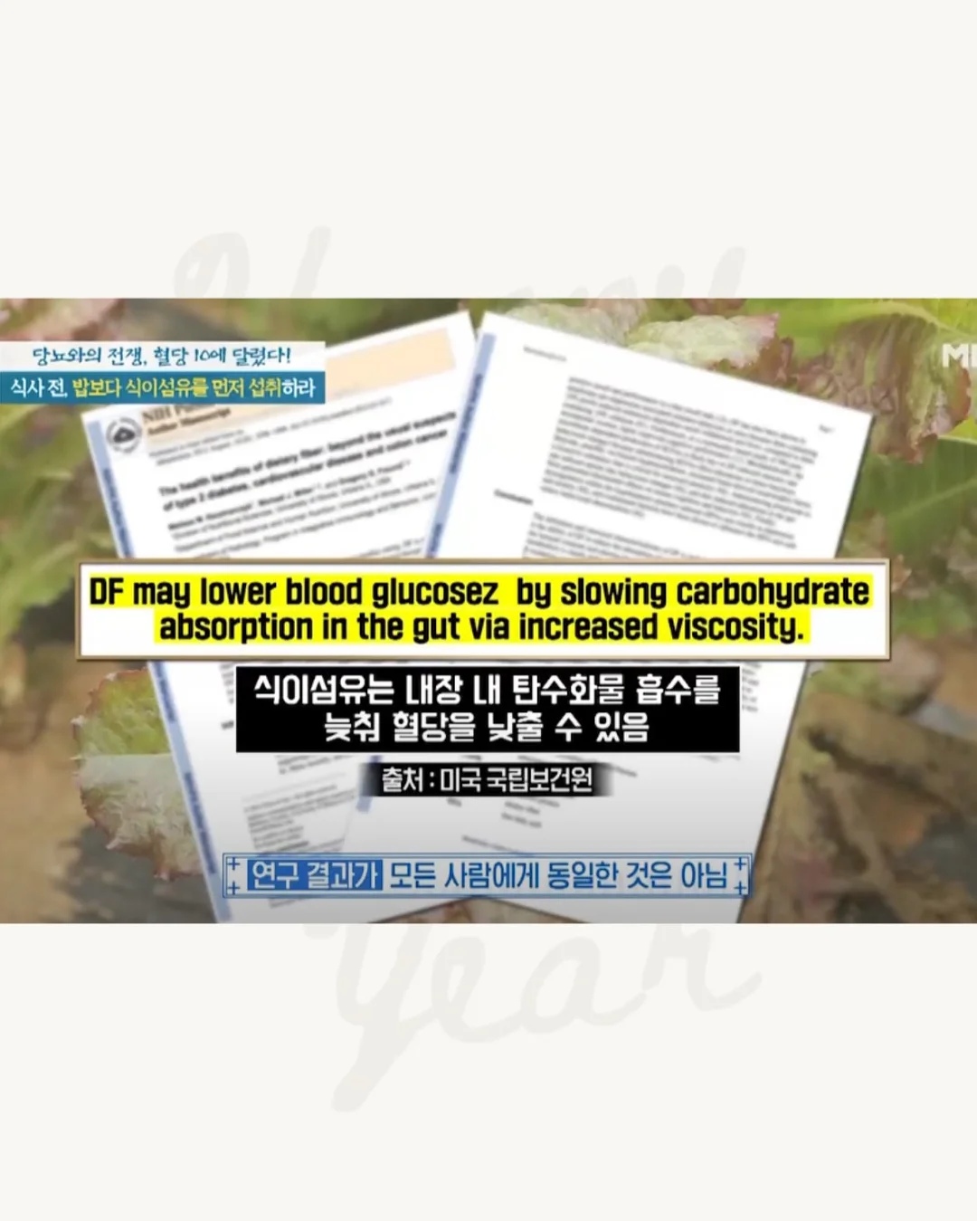 타치가와 타모 프리미엄 딥펜 8
