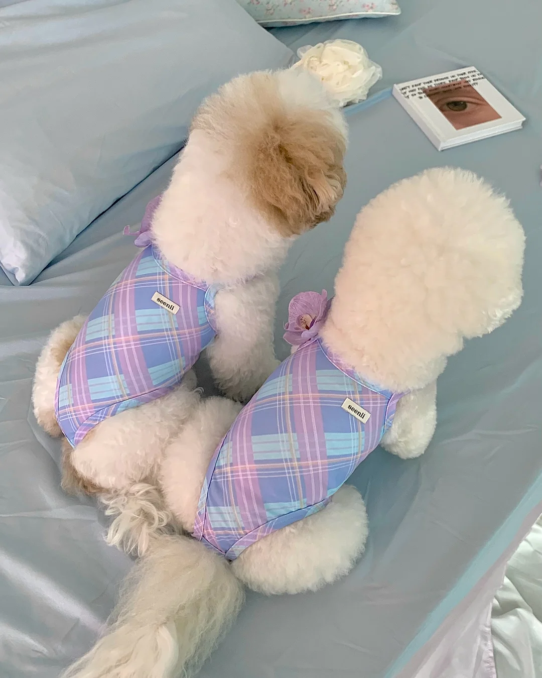 르멜라 멜라닌 색소침착케어 교육 5