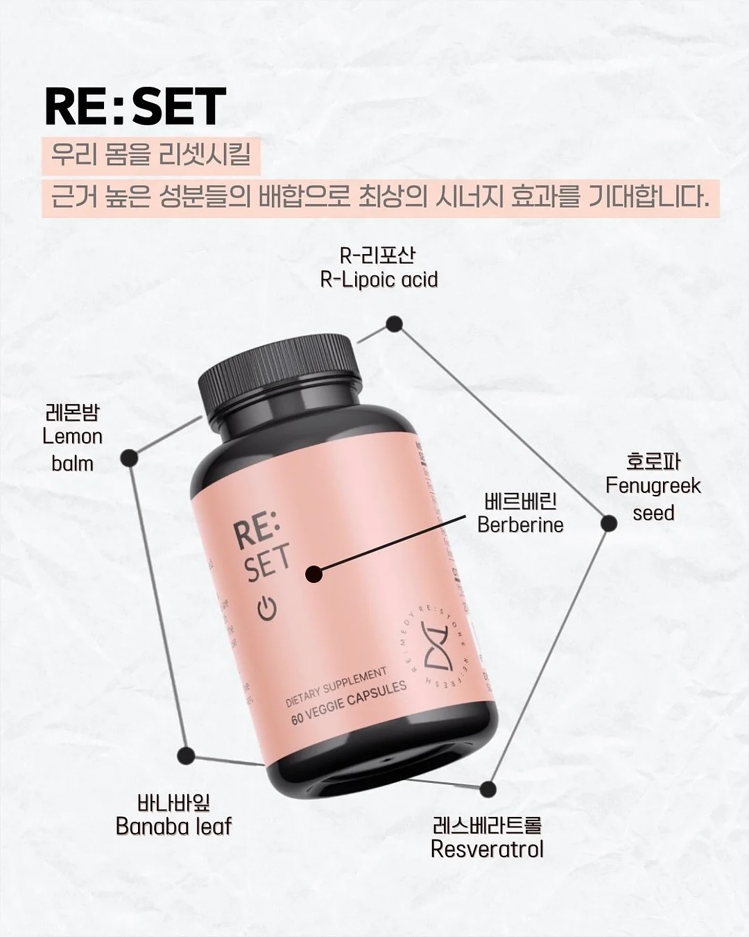 버니쉐이크 3