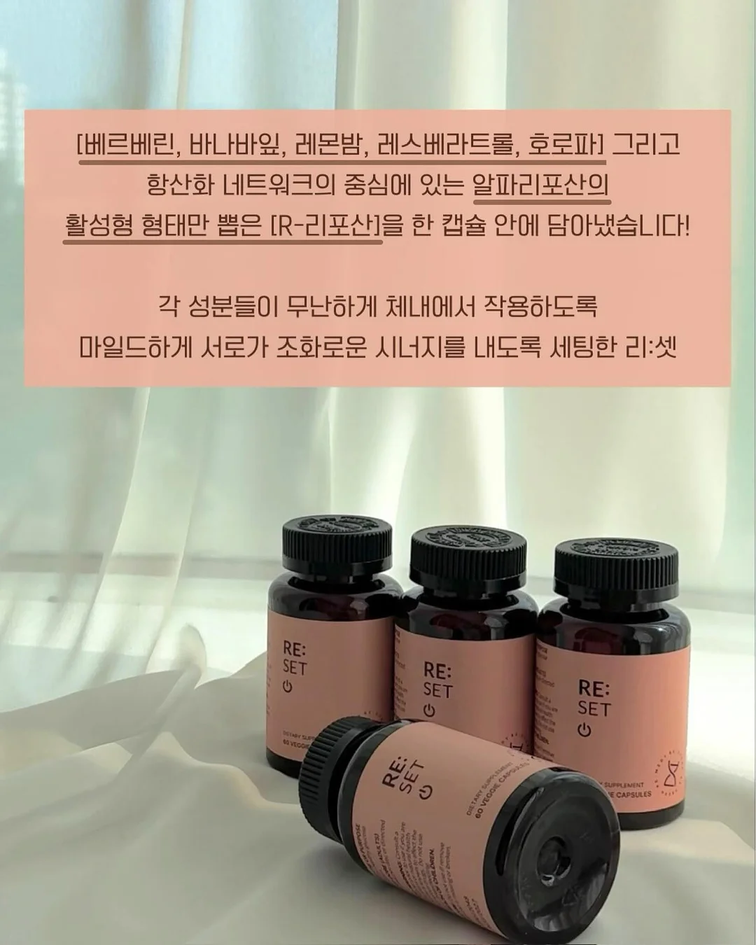버니쉐이크 4
