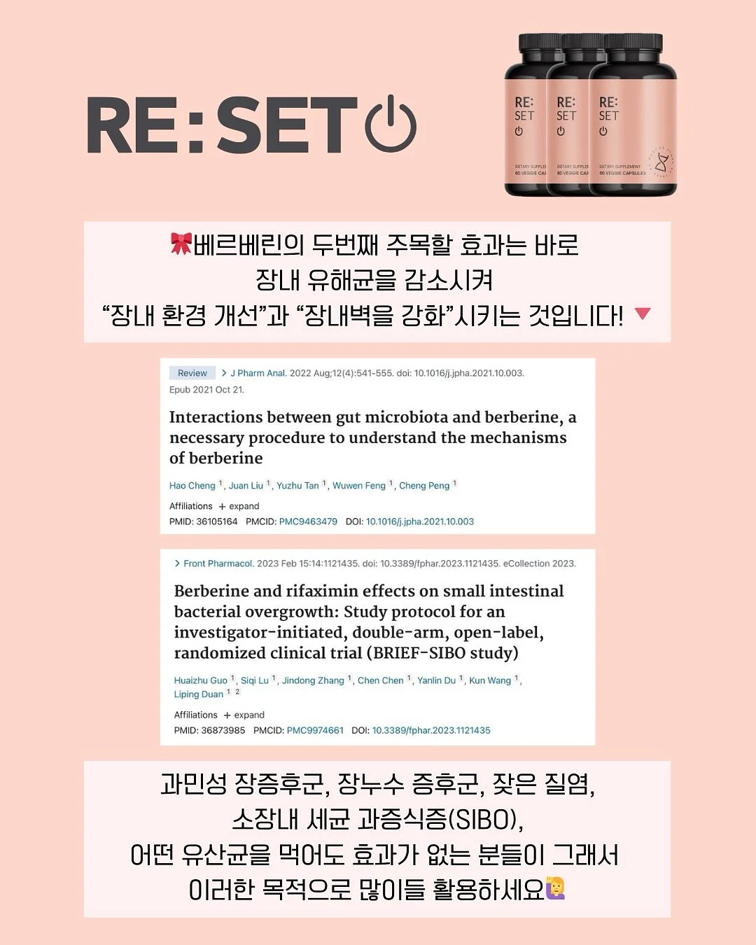버니쉐이크 10