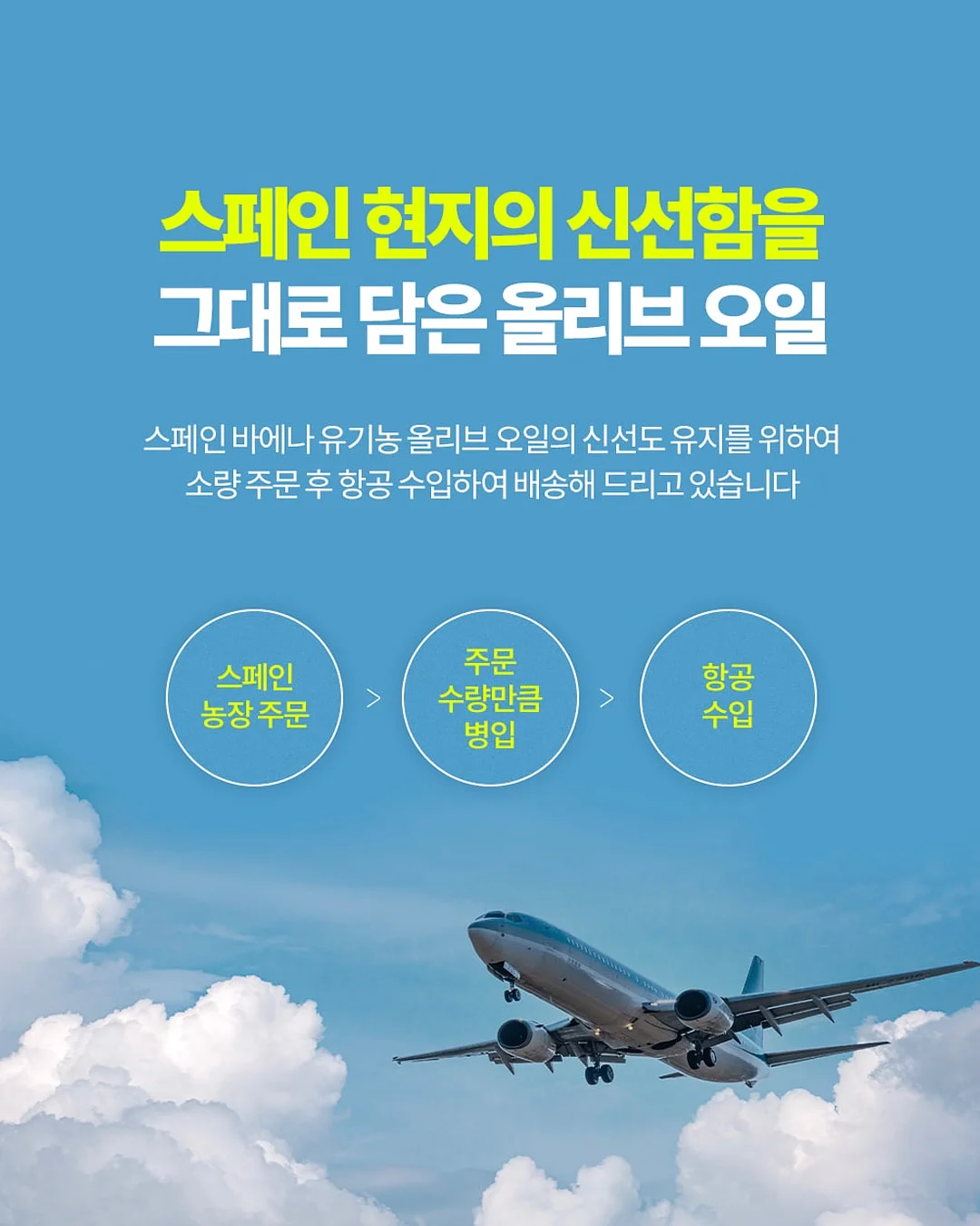 빈티지 디카 11