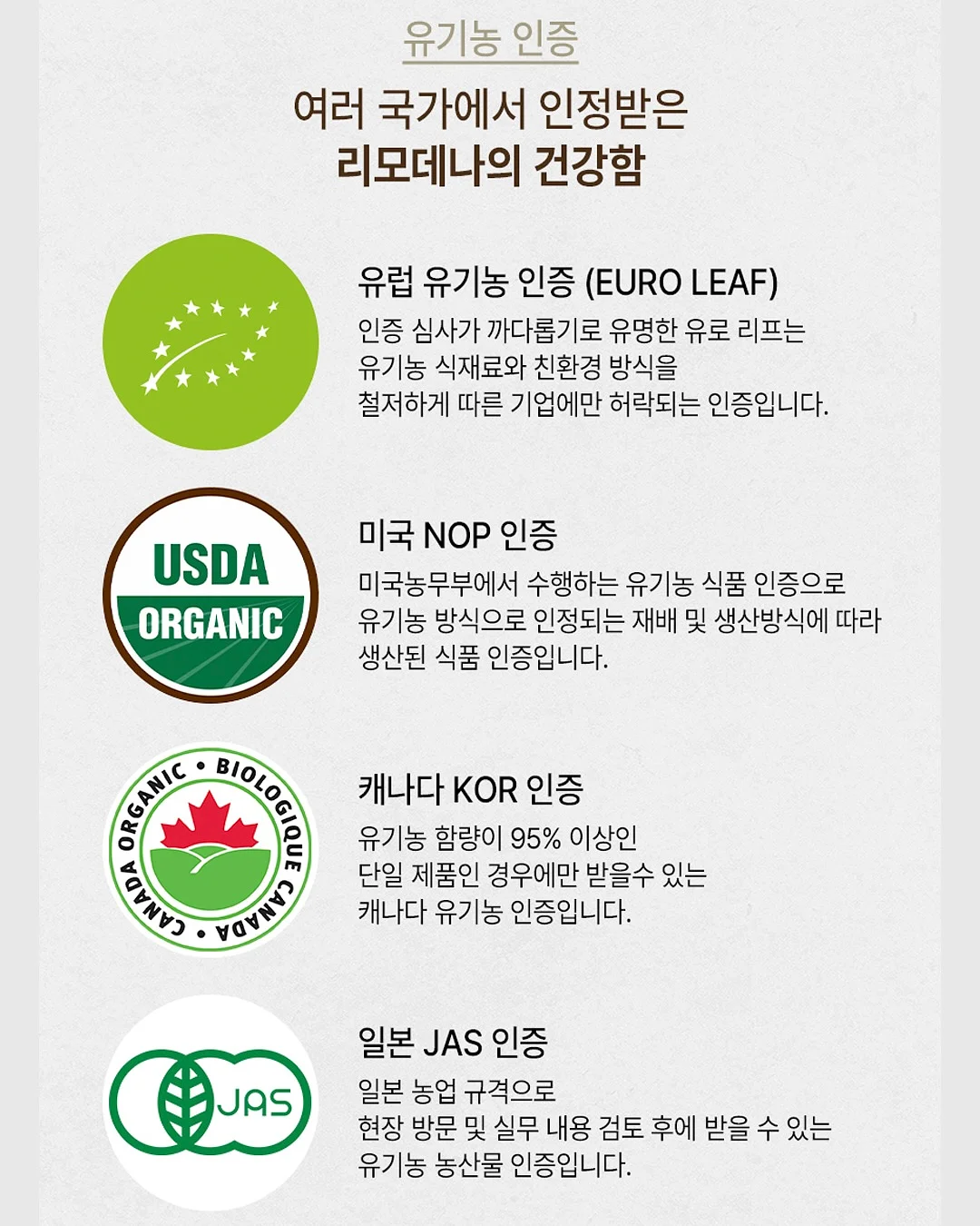빈티지 디카 15