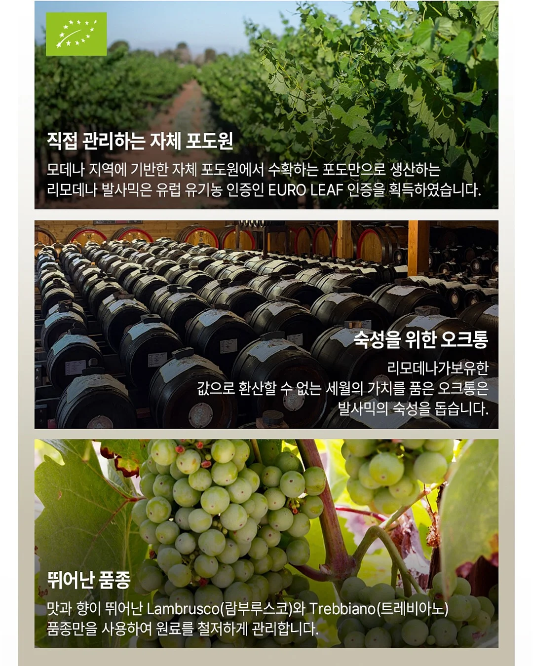 빈티지 디카 16