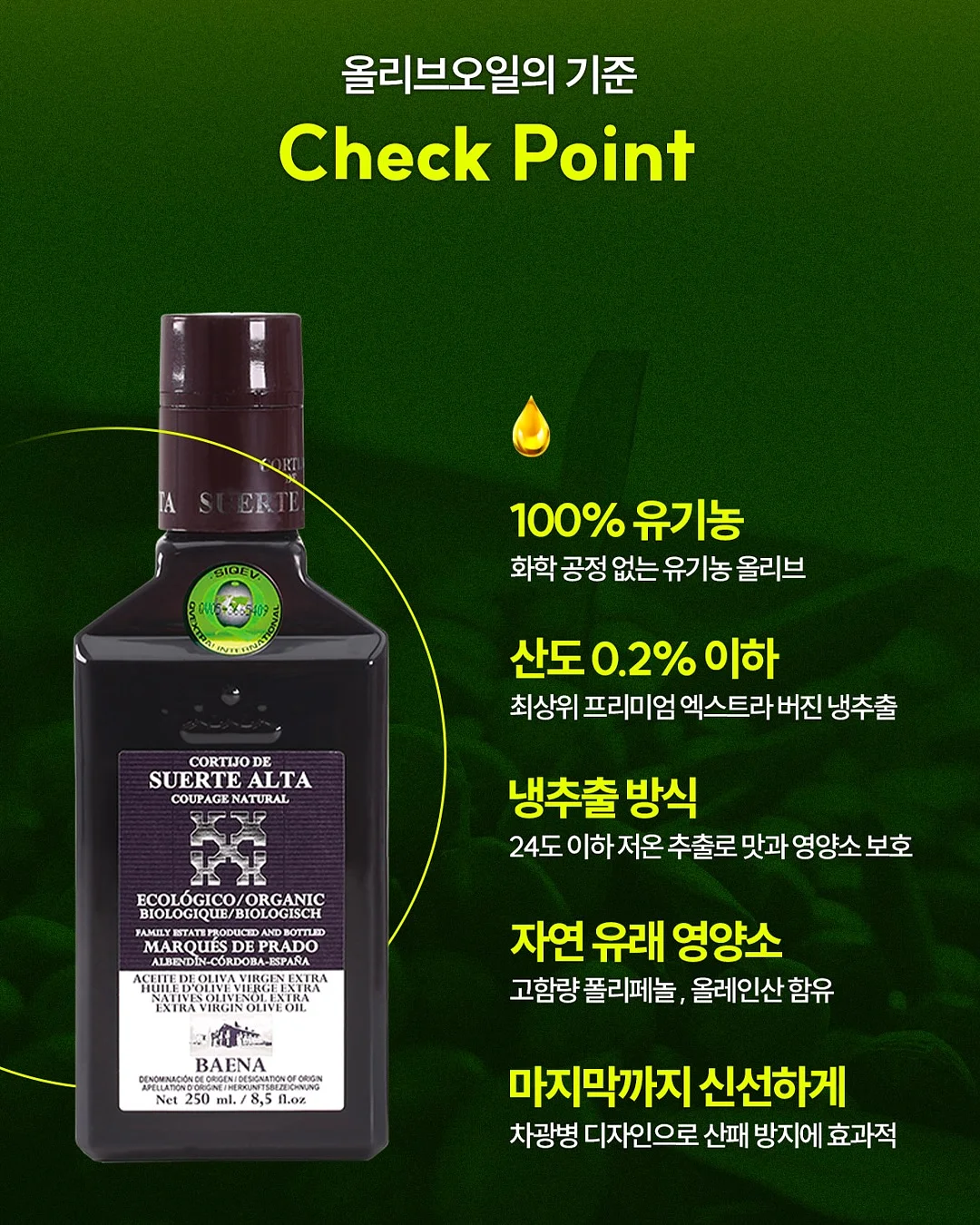 빈티지 디카 8