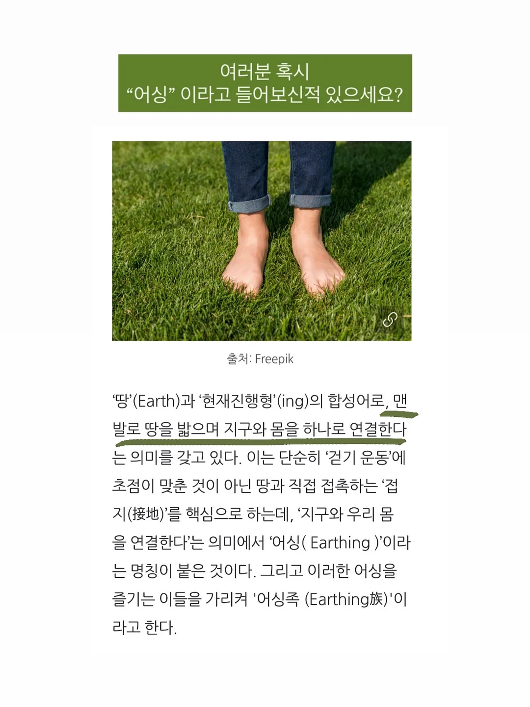 신발 전용 클리너 2