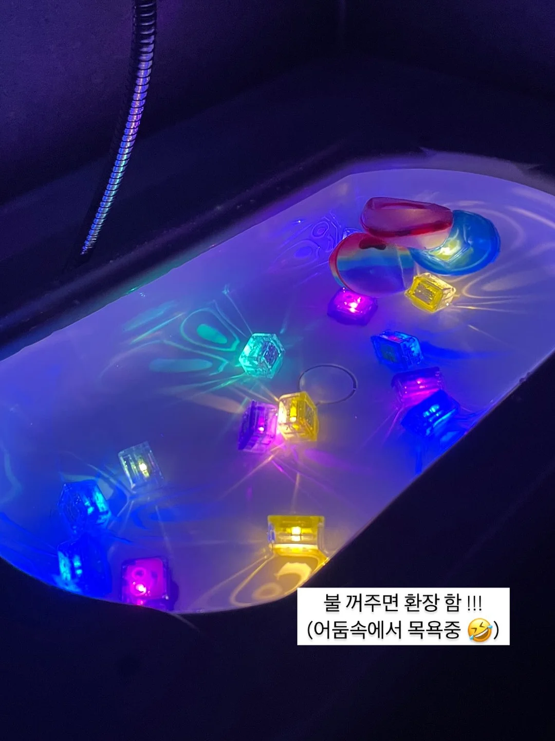고메고메 16