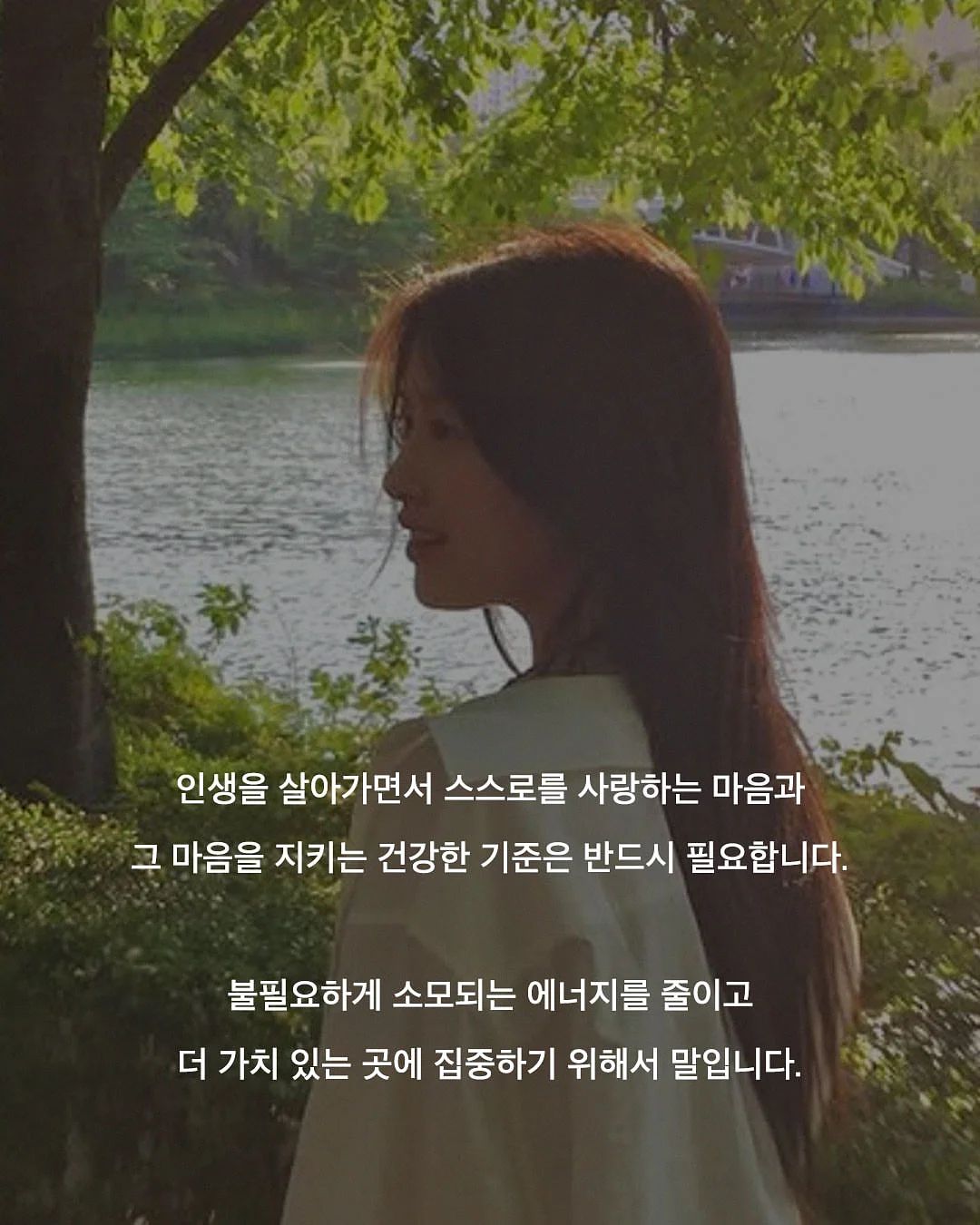 리추얼 스프레이 숲 5