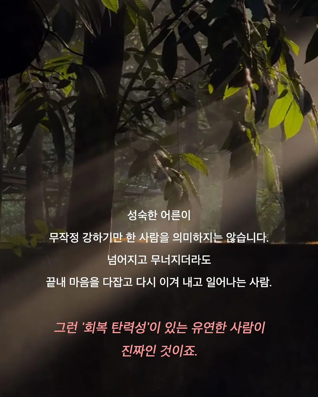 리추얼 스프레이 숲 8