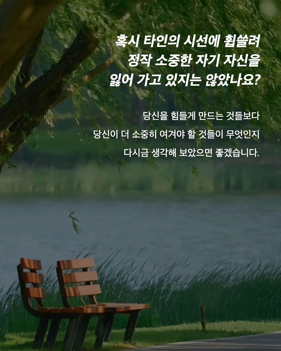 리추얼 스프레이 숲 9