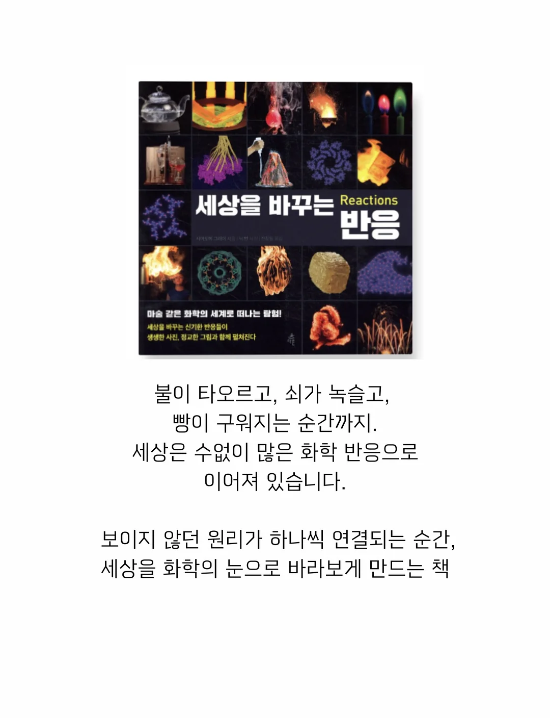 왕짜요짜요 포도&딸기 아이스크림 10
