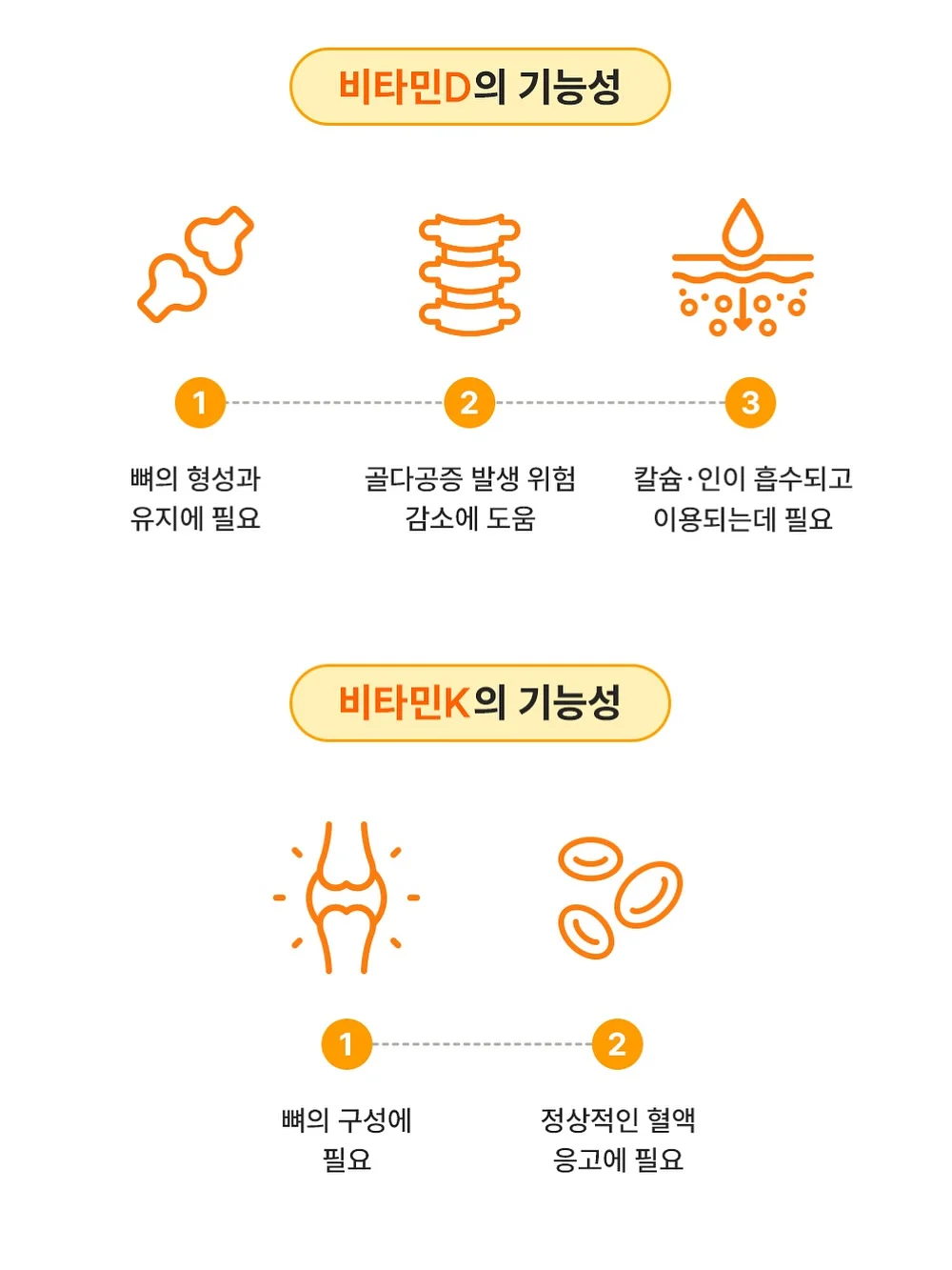 레다 여성 숏 바람막이 16