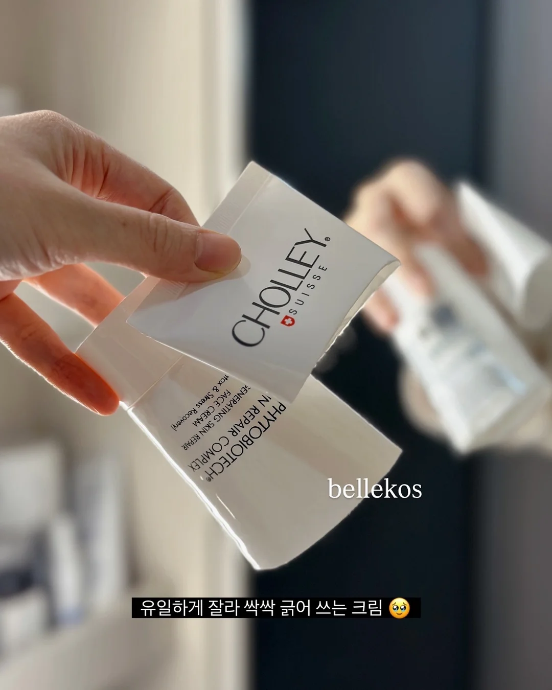비밀요원 레너드 우리 고전 3