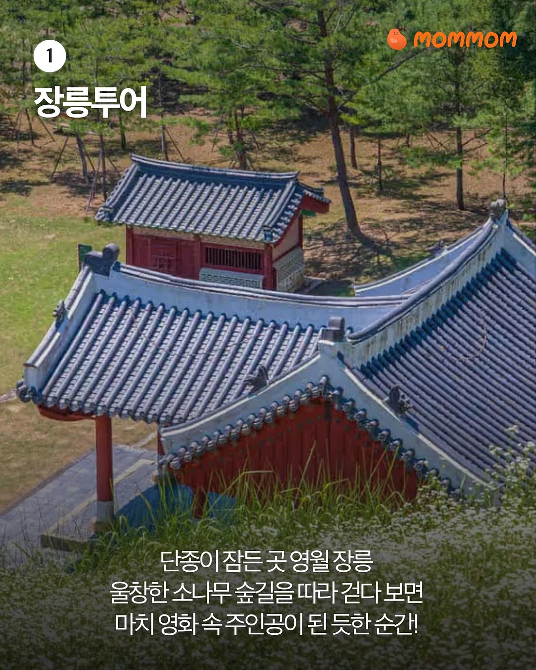 뷰마레 선크림 2