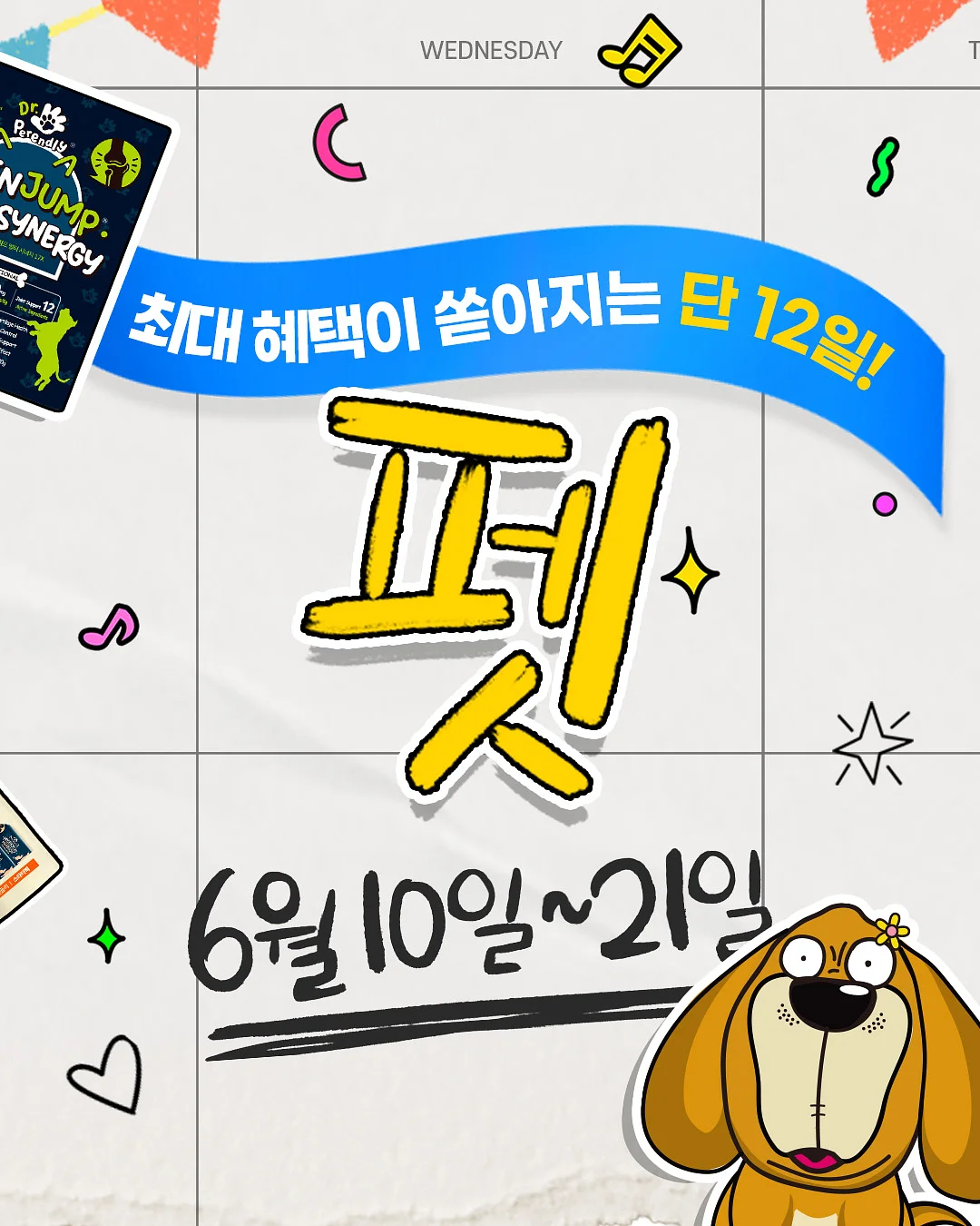 강아지 산책용품