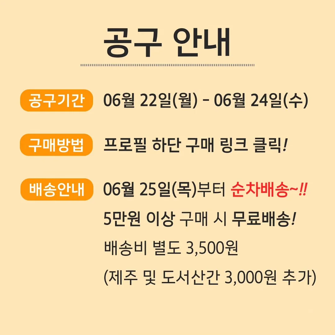 GRAVER 26 SUMMER 2차 DROP 7
