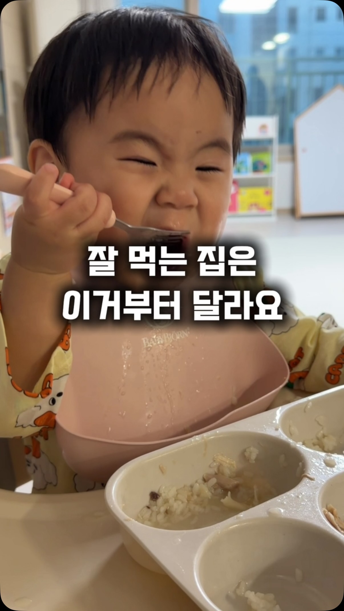 식물 화분 컬렉션