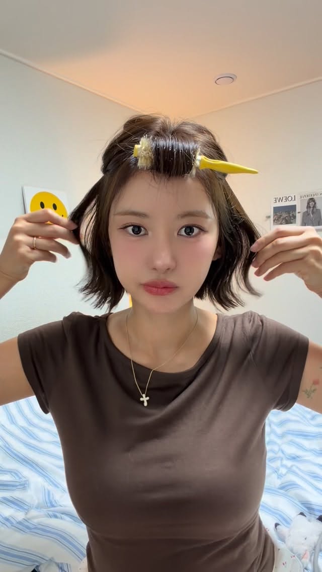 시술 정보