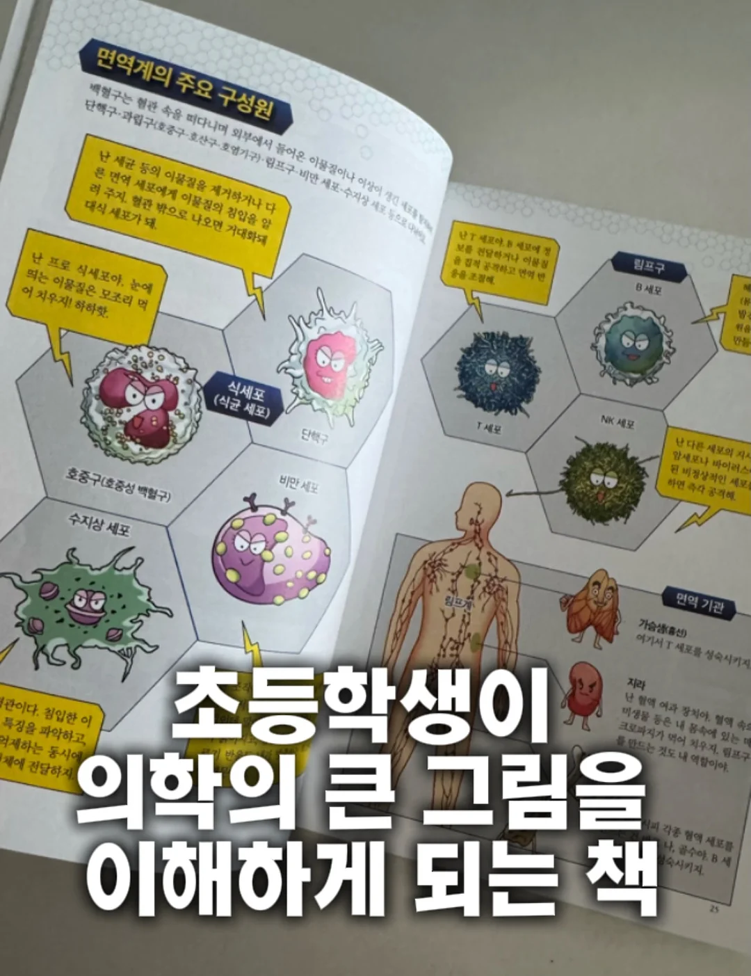 디어랑쥬 치발기 세트 1