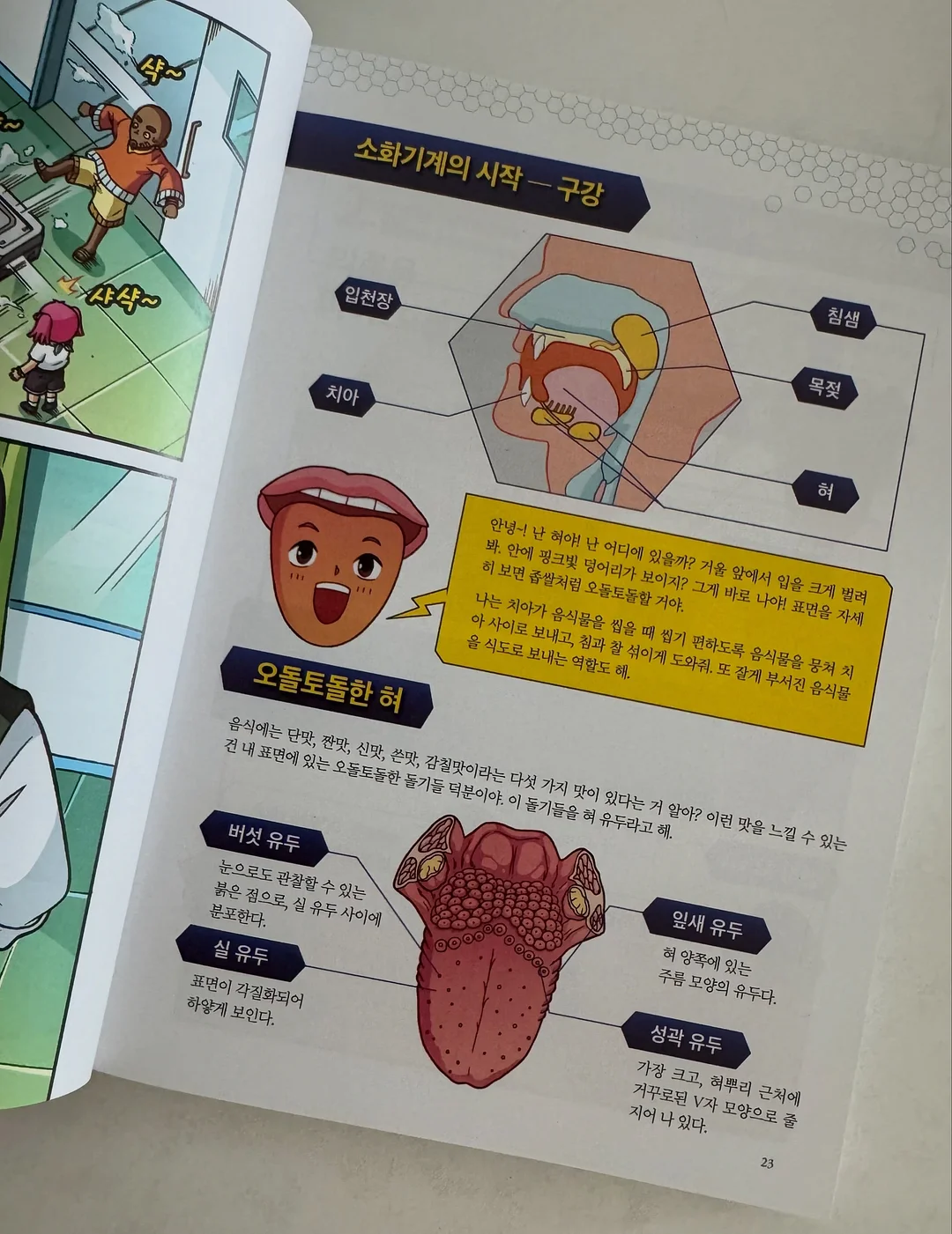 디어랑쥬 치발기 세트 2