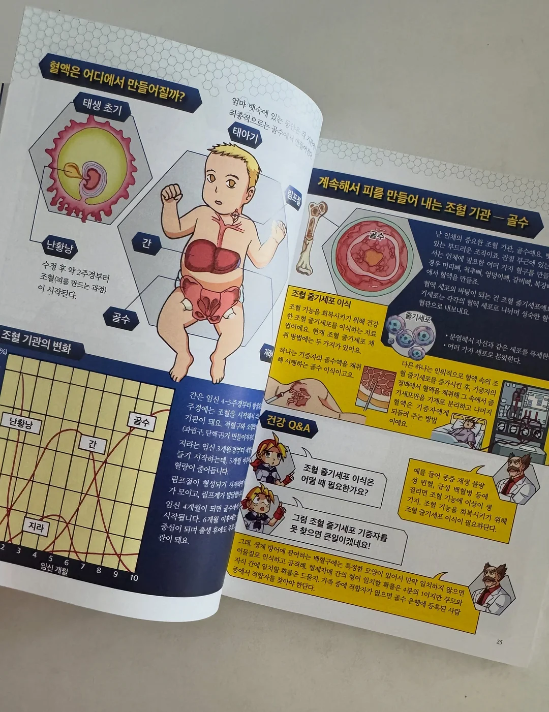 디어랑쥬 치발기 세트 6