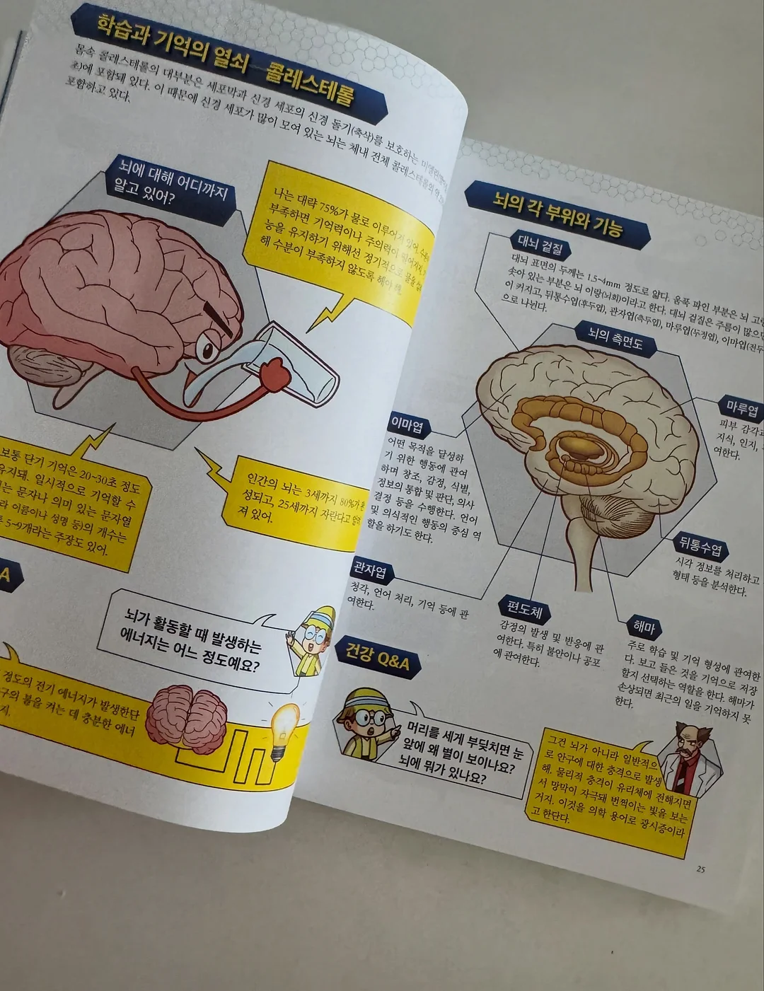 디어랑쥬 치발기 세트 9
