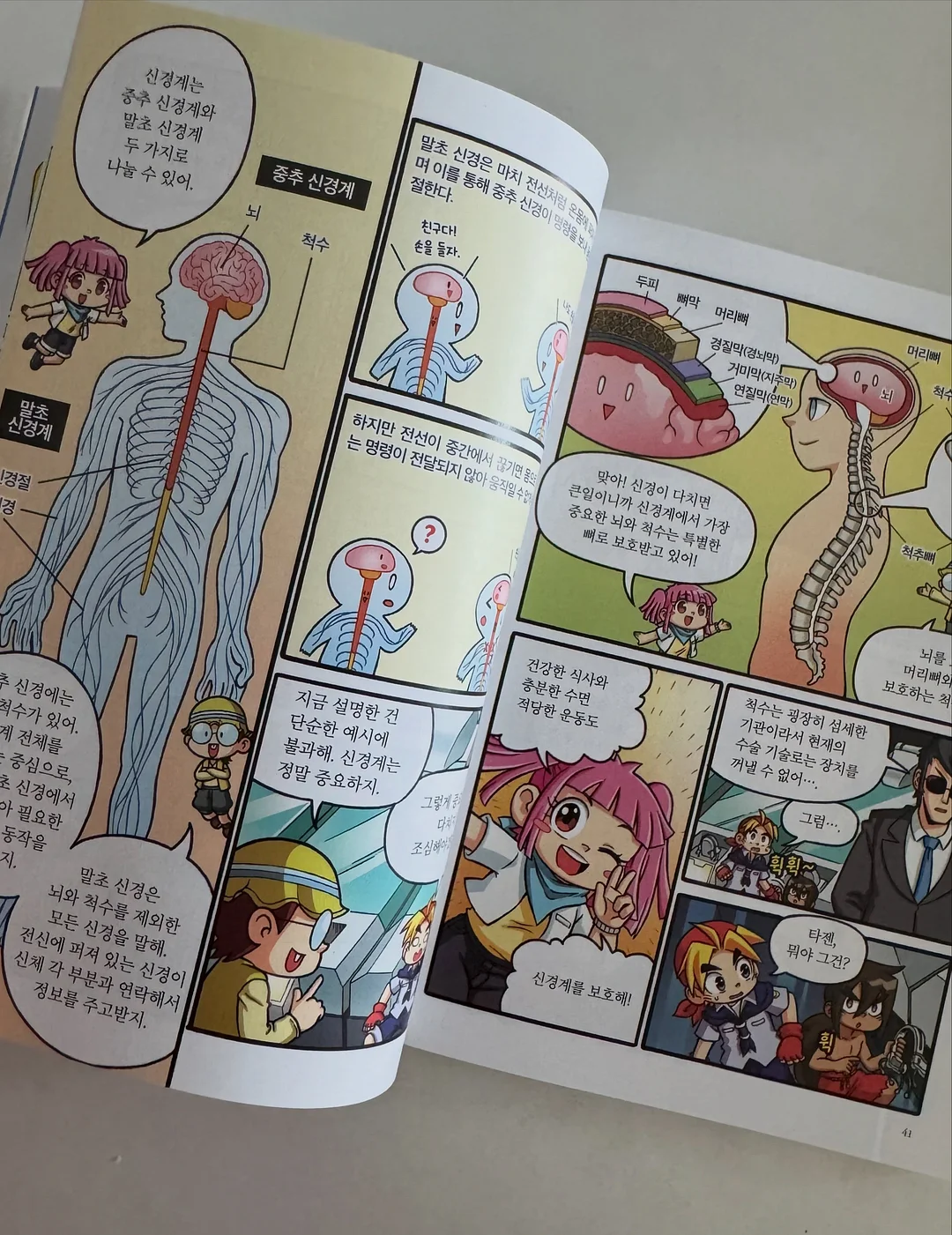 디어랑쥬 치발기 세트 10